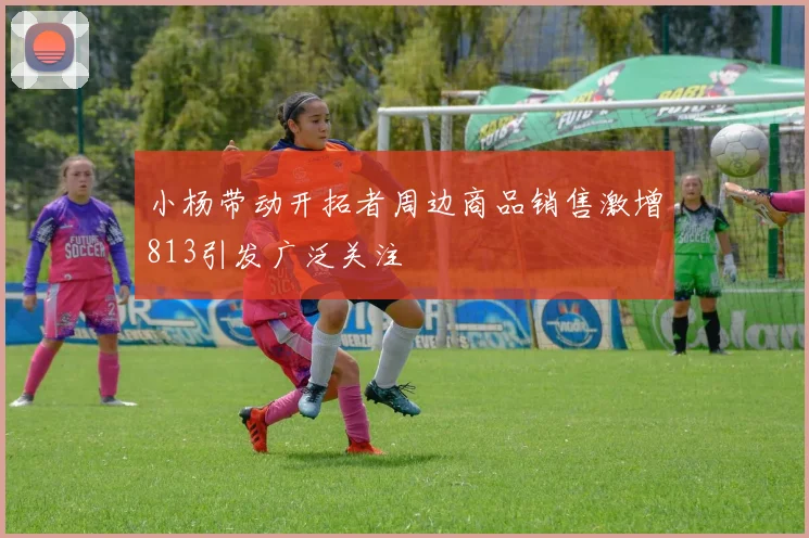 小杨带动开拓者周边商品销售激增813引发广泛关注