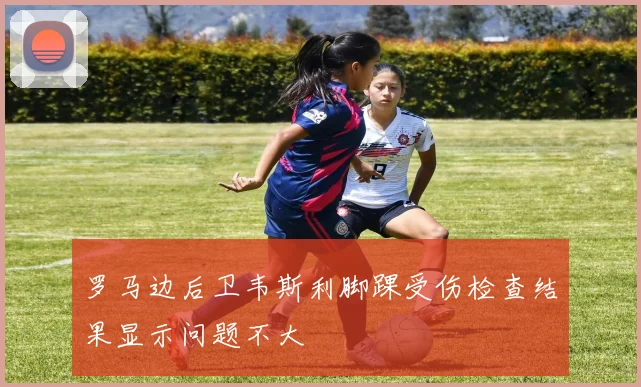 罗马边后卫韦斯利脚踝受伤检查结果显示问题不大