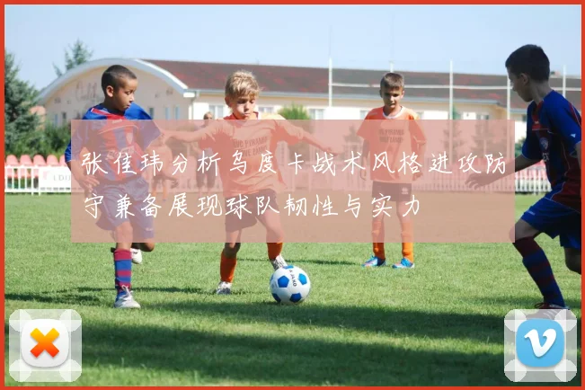 张佳玮分析乌度卡战术风格进攻防守兼备展现球队韧性与实力