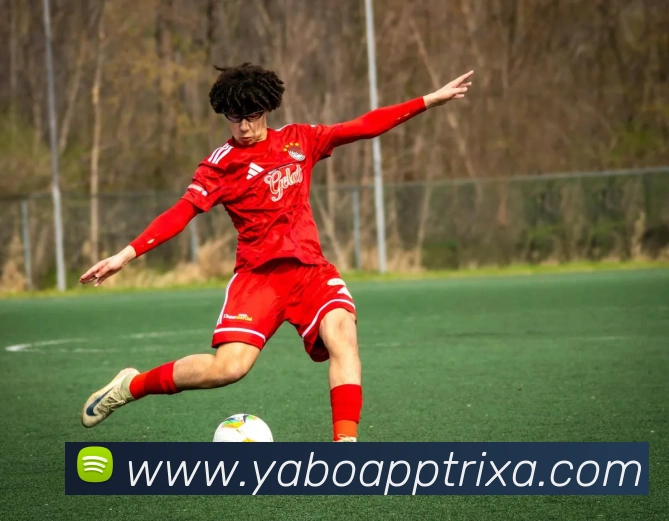 YABOApp下载服务体系